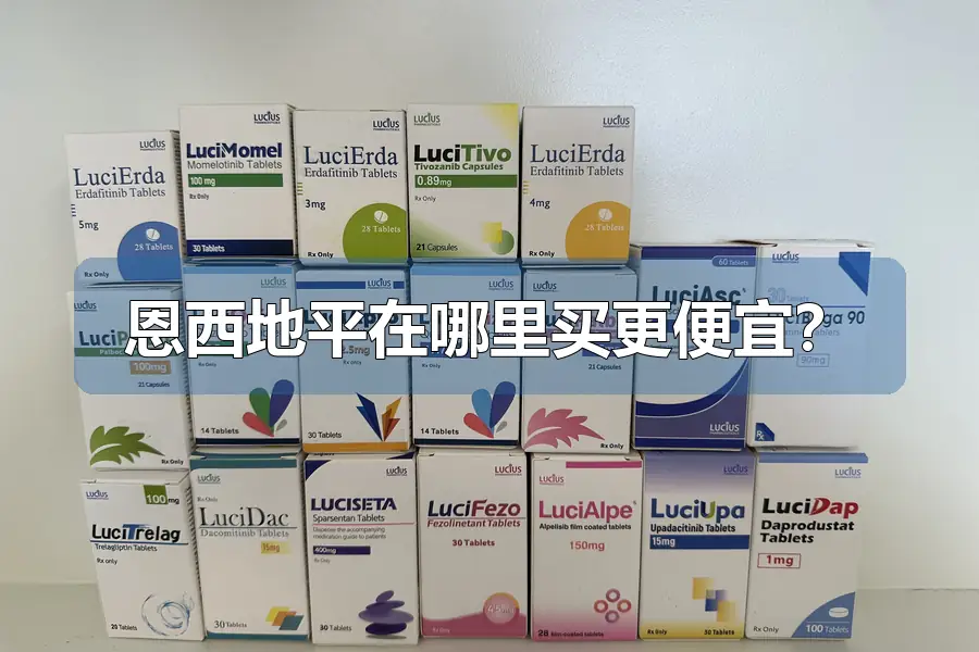 恩西地平在哪里买更便宜？